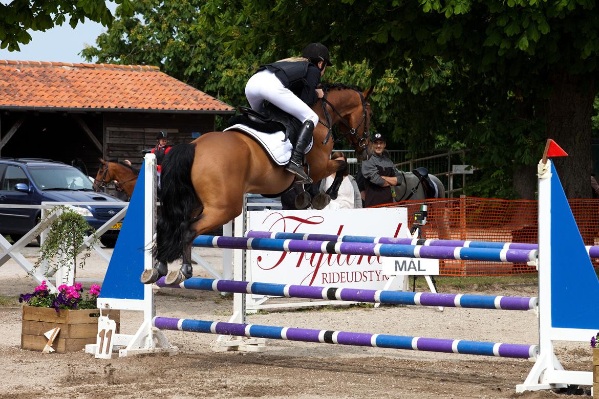 Svensk Varmblod Queens Dandelion(Lille Bjørn)*B-Pony* - Lille Bjørn i MB** til landsstævne på Næstveds Sportsrideklub 2012 <3 billede 19