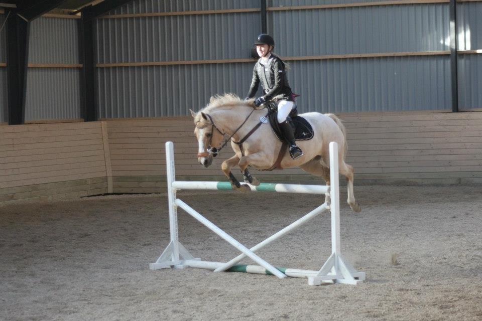 Palomino Tarzan <3 - Hesten tænke lige pludselig, nu må jeg gøre et eller andet, nu hvor hun ikke gør for ellers går det sku galt!!! Haha elsker dig Nini!! <3 1 MB & 1 plads. Foto: Abso billede 17