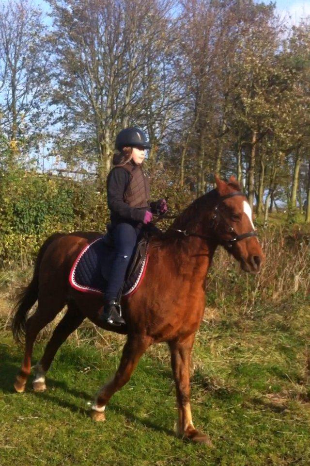 DSP Cherry Cheval - lidt galop;) billede 17