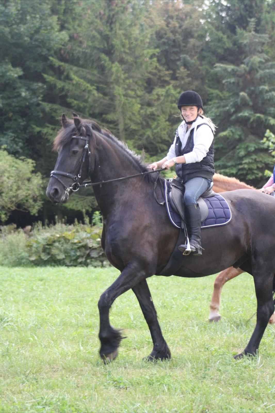 Frieser Zejr Zefyr  billede 12