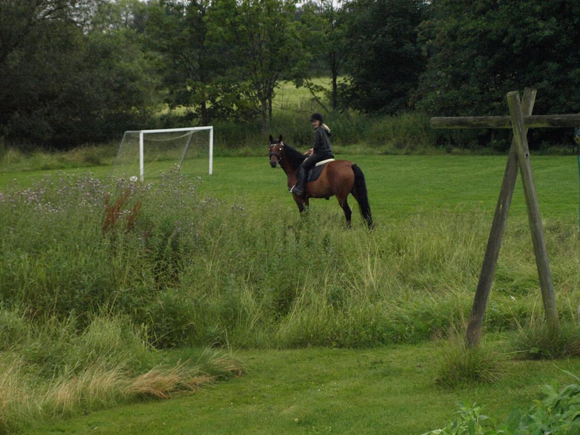 DSP Juliane Søblink<3 billede 14