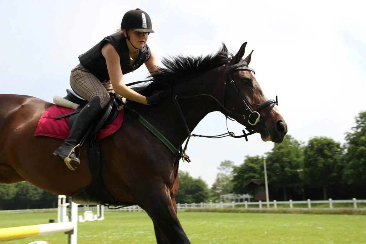 Anden særlig race Sofietje V billede 1