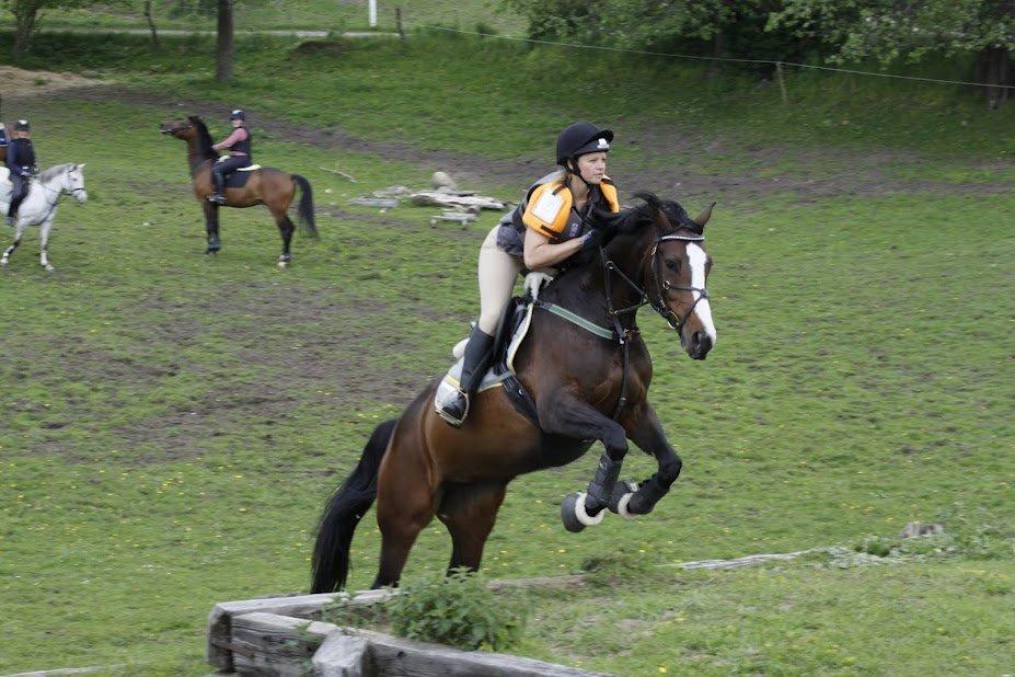 Anden særlig race Sofietje V billede 2