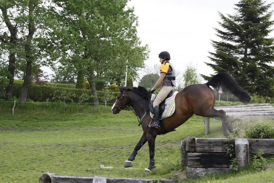 Anden særlig race Sofietje V billede 3