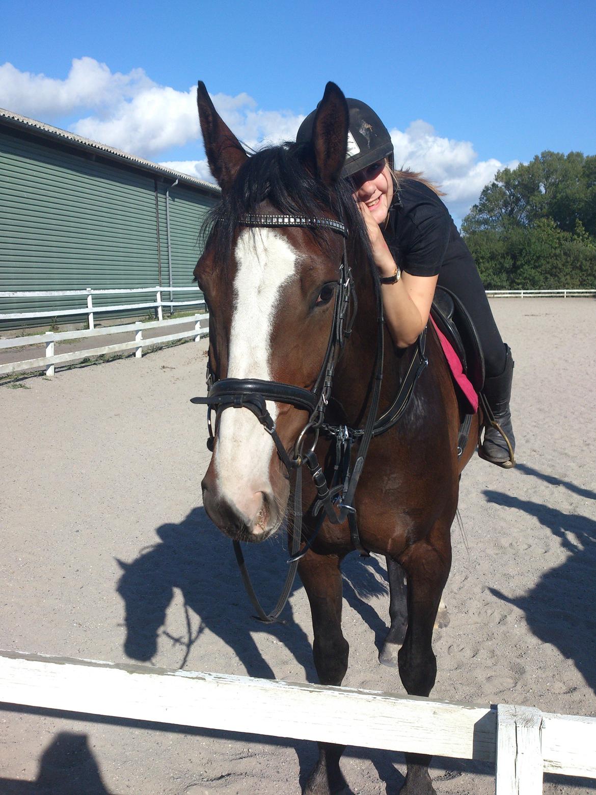 Anden særlig race Sofietje V billede 4