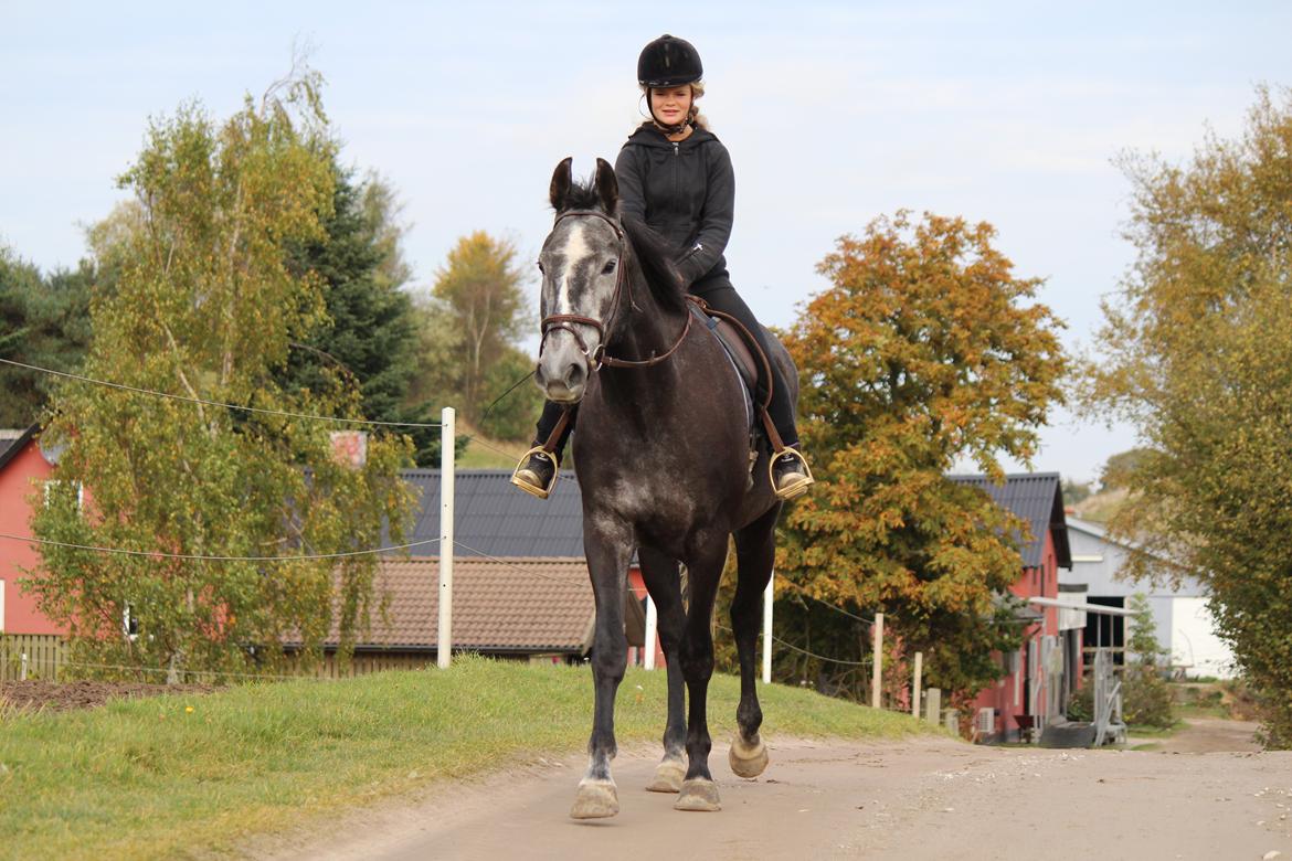 Anden særlig race Cortes |Min bedre halvdel| <3 - På vej på en lille efterårstur <3 billede 17