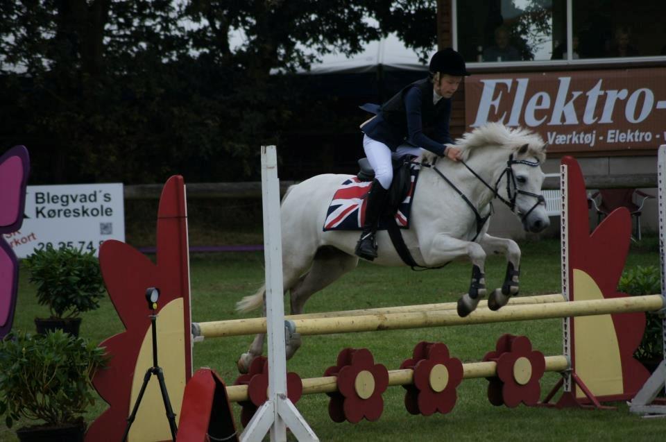 Irsk Sportspony Tigger Wallis - Finale i Danmarks cup -Kallehavegaard, 2012. ♥  billede 10