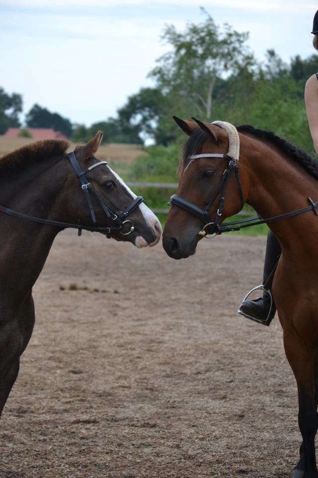 DSP Juliane Søblink<3 billede 4