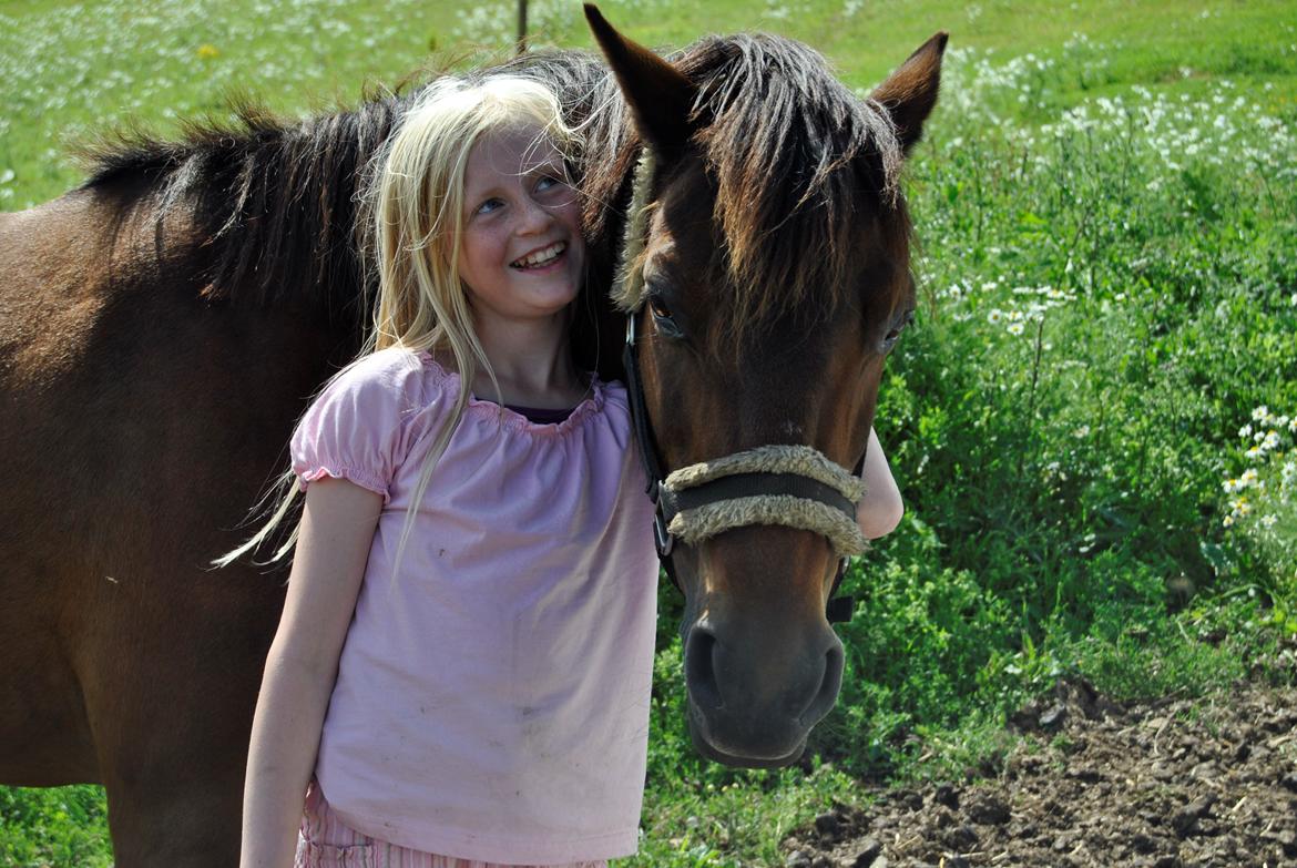 Anden særlig race Isabell  RIP  - мιт αℓт. miss you so much
2010 - sommer -  billede 8