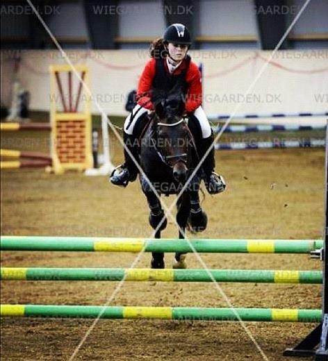 New Forest Stackarps Pablo - Her ses vi til stævnet i Herning, hvor vi fik en 1plads. billede 19