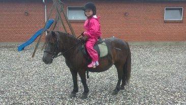 Anden særlig race Tulle billede 1