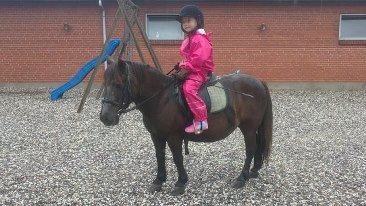 Anden særlig race Tulle billede 2