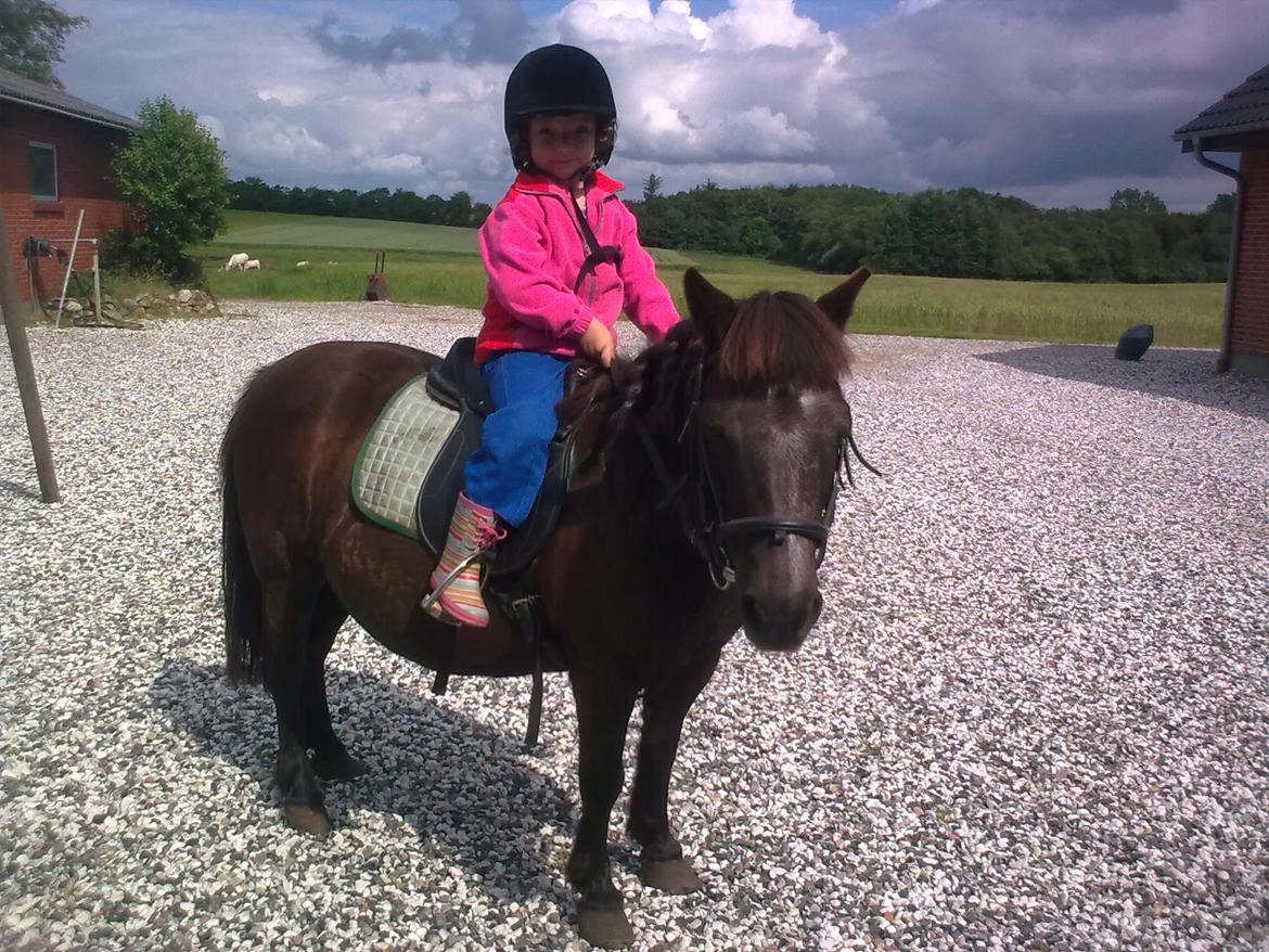 Anden særlig race Tulle billede 5