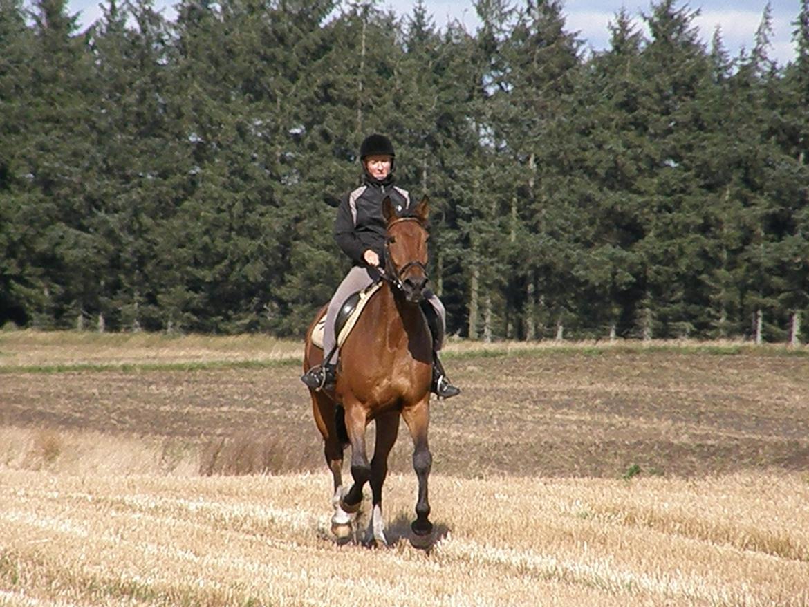 Anden særlig race Monthy billede 5