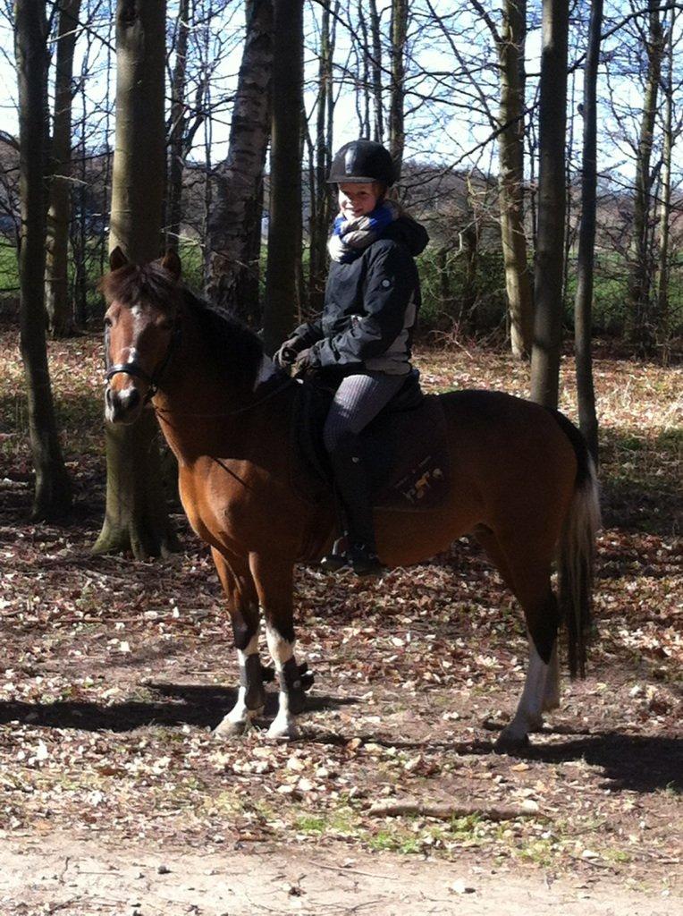 Anden særlig race Frig - savner den lille skid! :'(  billede 1