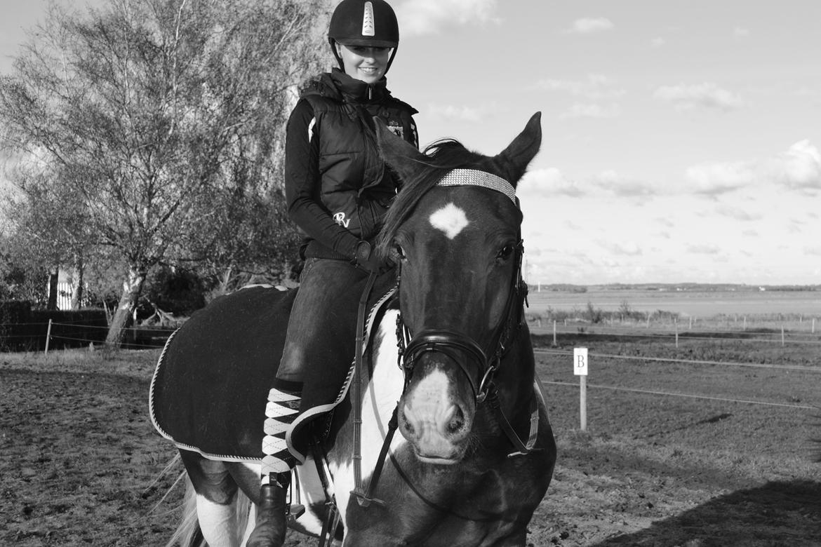 Anden særlig race Peanut<3 billede 19