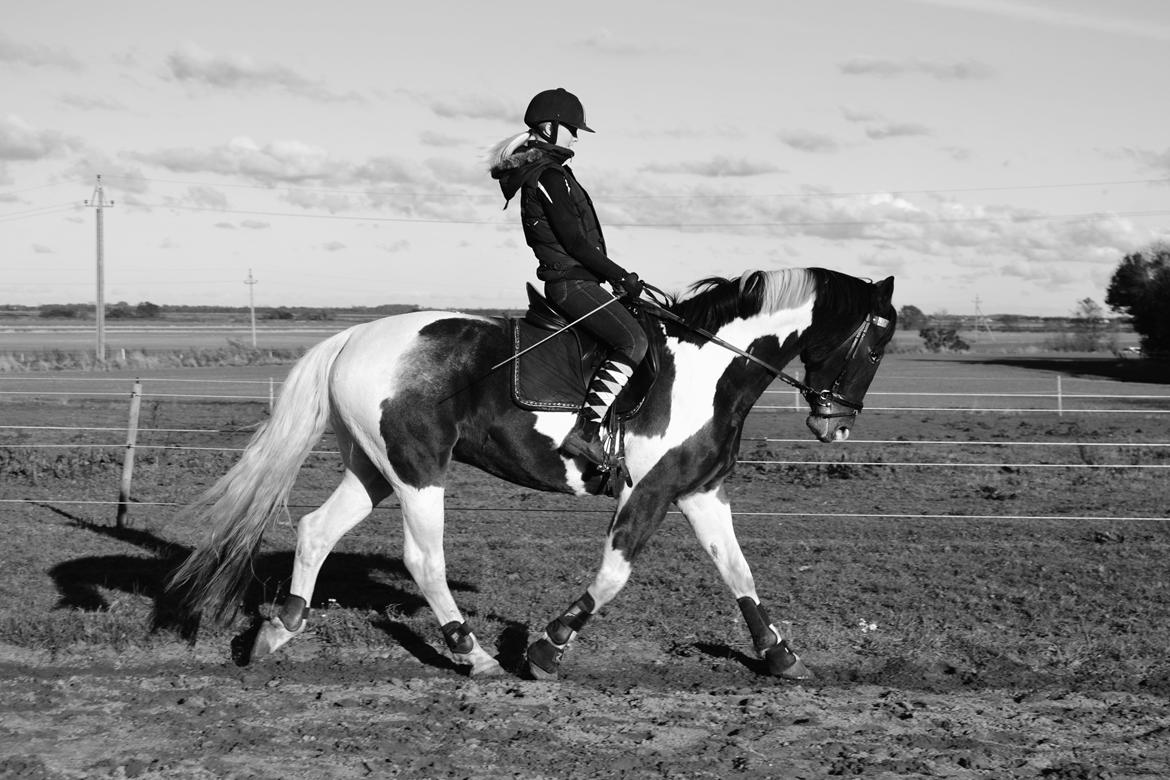 Anden særlig race Peanut<3 billede 20