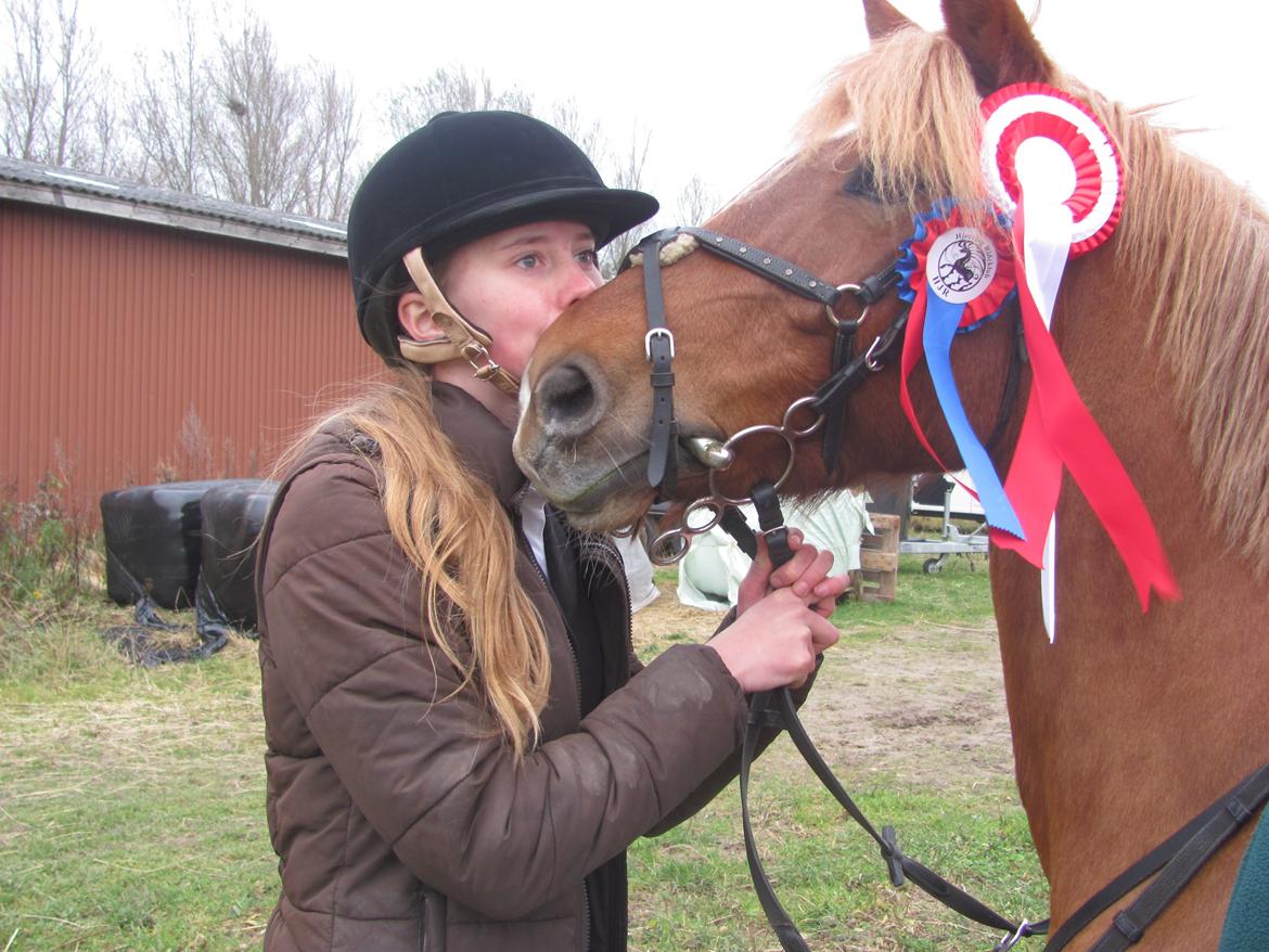 Anden særlig race Westergaard's Gabbi |B-PONY| Solgt - Gabbi jeg elsker dig !<3 billede 20