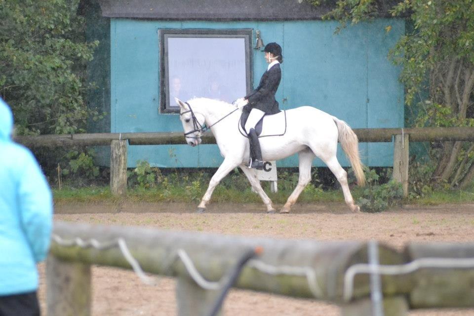 Anden særlig race Smilla | Part | <3 | - Udvidet klubstævne MLRK lc3 i pis møg vejr! 1 point fra at vinde<3 Foto: Anna Pless billede 20