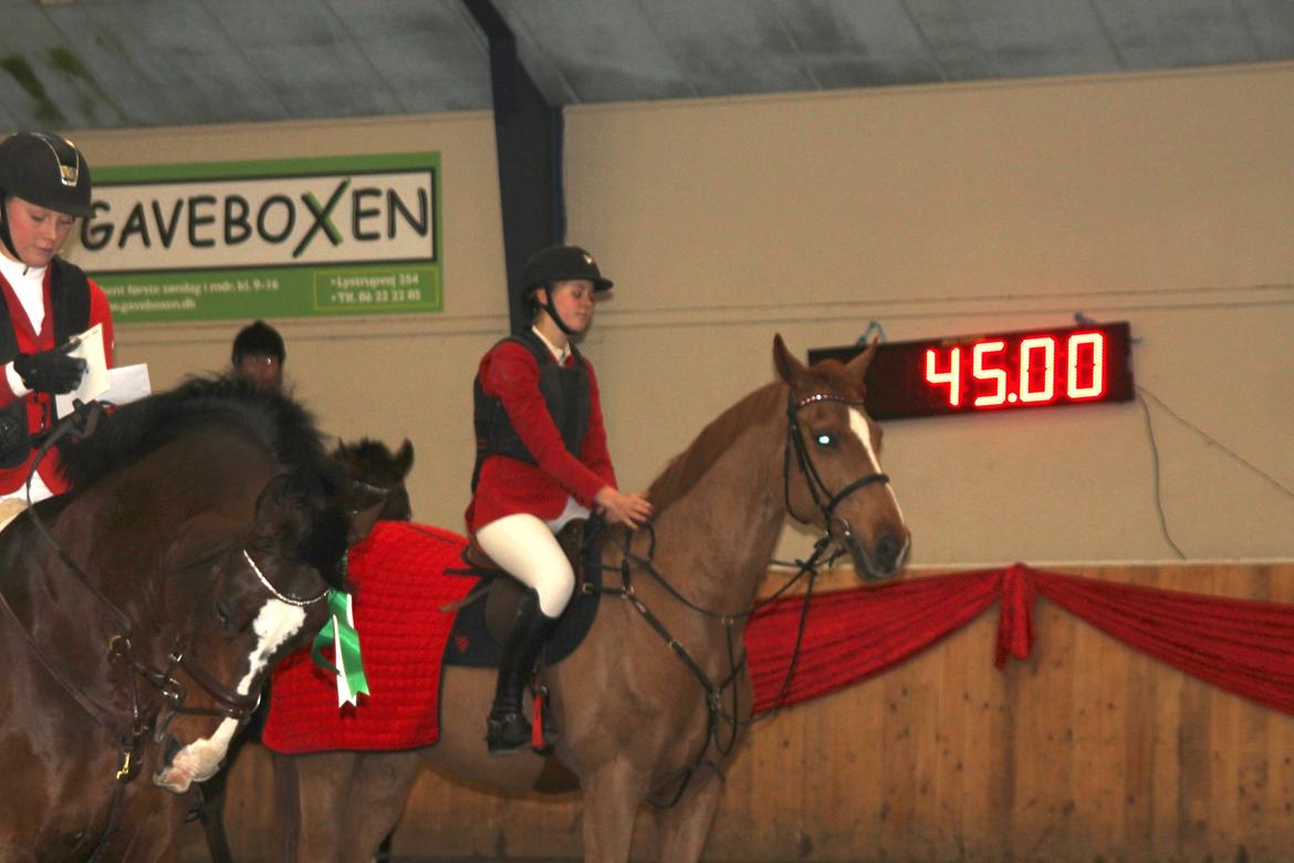 Anden særlig race Mañaña *STJERNE* - LB 4 plads :-) billede 16