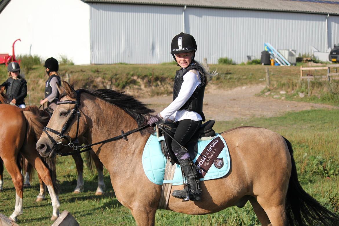Connemara Jolly Jumper - Mini stævne der "hjemme" der var vi hurtigst på 30 cm. billede 4