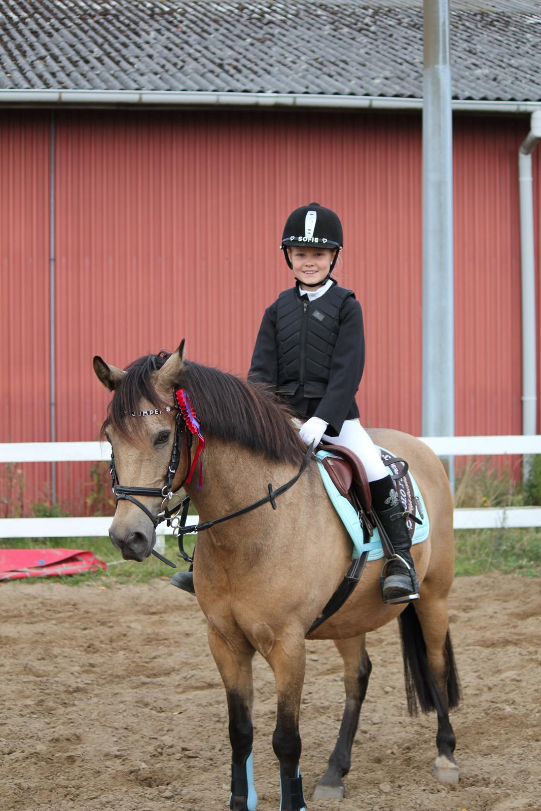 Connemara Jolly Jumper - stævne på ølstyke billede 5