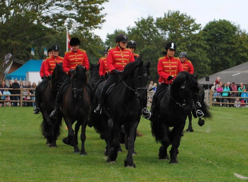 Frieser Meine vb Ster - Store Hestedag 2012 billede 5