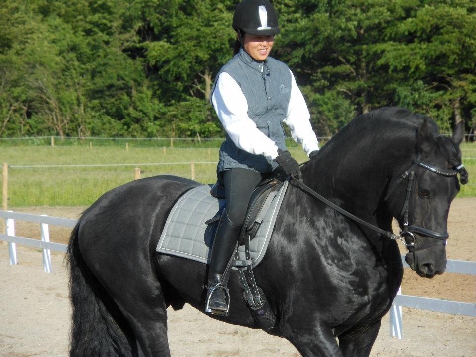 Frieser Meine vb Ster - Juli 2012 billede 9