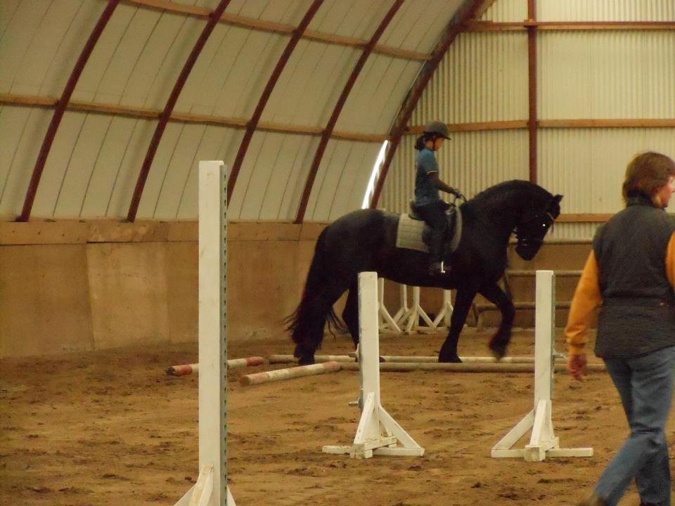 Frieser Meine vb Ster - Agility træning ;-) billede 10