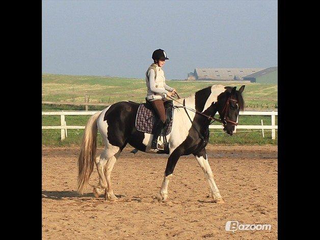 Barockpinto Arkia billede 5