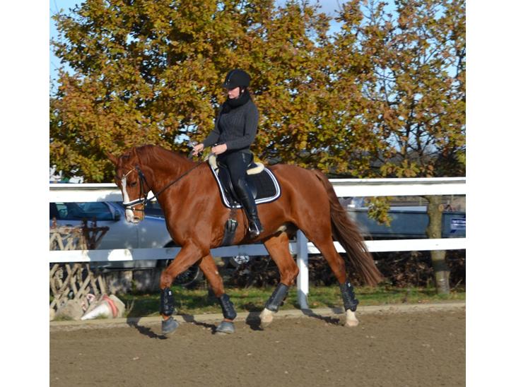 {{currentPhoto.altText}} billede {{currentPhoto.number}}