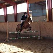 Anden særlig race bliz