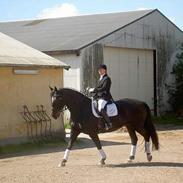 Oldenborg Altair Kikmose