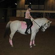 Connemara Sheik (: SOLGT ! 