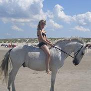 Connemara Sheik (: SOLGT ! 