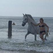 Connemara Sheik (: SOLGT ! 