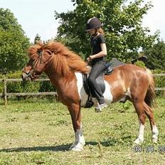 Islænder skjöldur R.I.P :( 