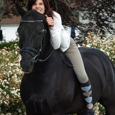 New Forest Vadgaards Bellmann