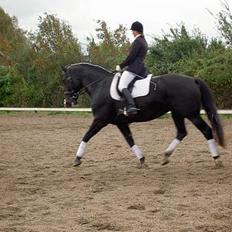 Oldenborg Altair Kikmose