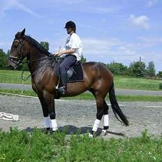 Traver Andy Bakholdt -død- 