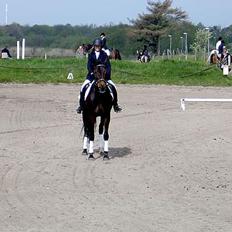 Traver Amanda (L) 
