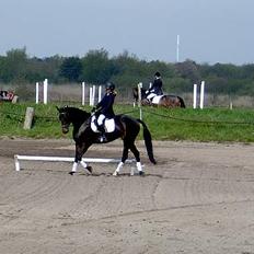 Traver Amanda (L) 