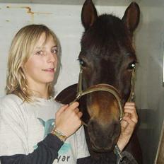 DSP Stendalens Malero - død:(