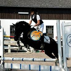 DSP Cobra (R.I.P) Død