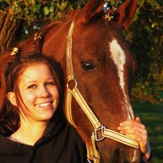 DSP Firhøjs Nobi - min engel