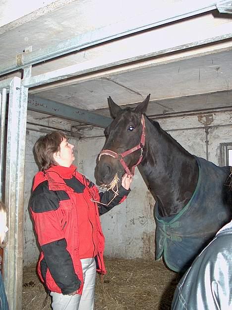 Anden særlig race Samson - De hygger sig:) billede 4