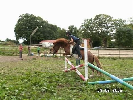 Islænder skjöldur R.I.P :(  billede 1