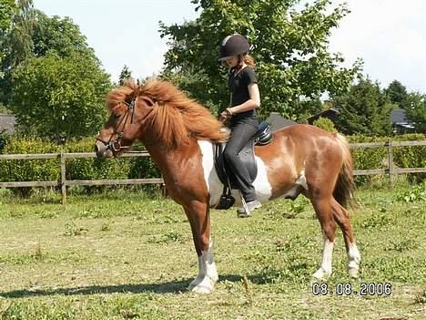 Islænder skjöldur R.I.P :(  billede 2