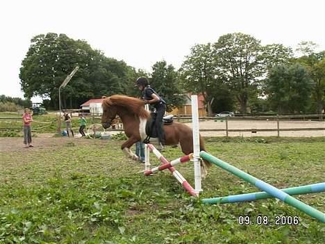 Islænder skjöldur R.I.P :(  billede 3