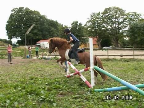 Islænder skjöldur R.I.P :(  billede 4